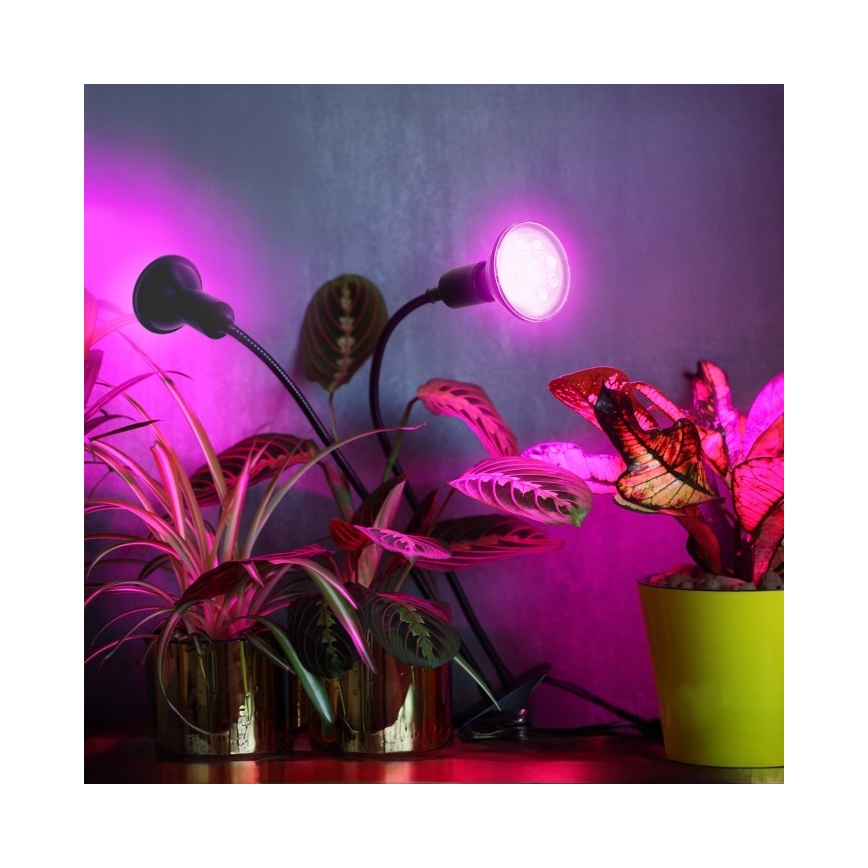 Fleksibilna stona lampa sa klipom za gajenje biljaka PLANTY 2xE27/30W/230V crna
