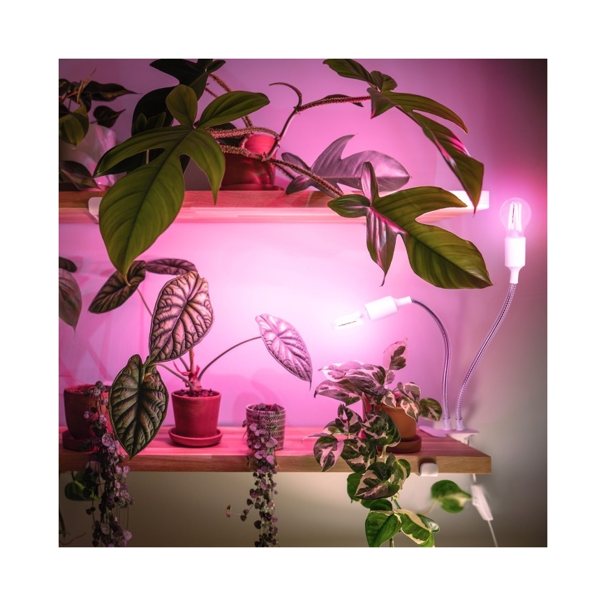 Fleksibilna stona lampa sa klipsom za uzgoj biljaka PLANTY 2xE27/30W/230V bela