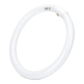 Fluorescentna cev T9 G10q/32W/230V 6500K - Aigostar