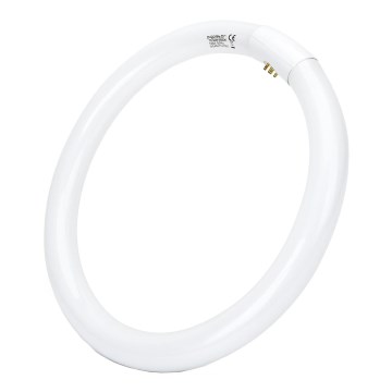 Fluorescentna cev T9 G10q/32W/230V 6500K - Aigostar