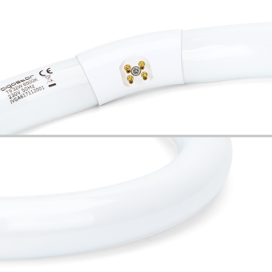 Fluorescentna cev T9 G10q/32W/230V 6500K - Aigostar