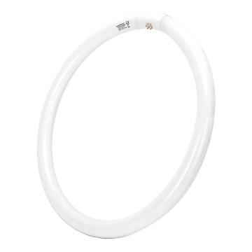 Fluorescentna cev T9 G10q/40W/230V 6500K - Aigostar