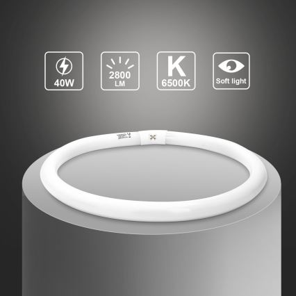 Fluorescentna cev T9 G10q/40W/230V 6500K - Aigostar