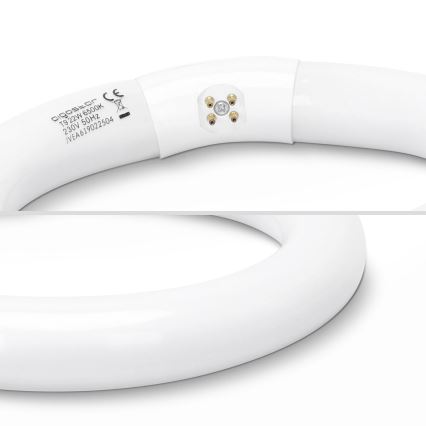 Fluorescentna cev T9 G24q-1/22W/230V 6500K - Aigostar