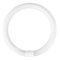 Fluorescentna cev YH G10q/28W/230V 6500K - Fulgur 03045, prečnik 23 cm