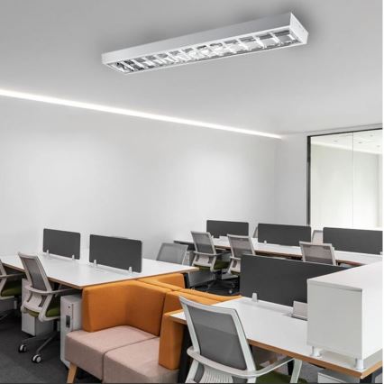 Fluorescentna svetiljka T8 2xG13/18W/230V 120 cm bela