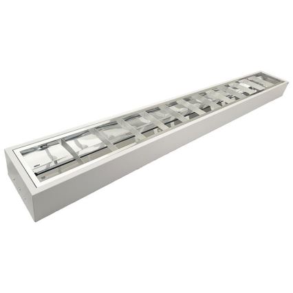 Fluorescentna svetiljka T8 2xG13/18W/230V 120 cm bela