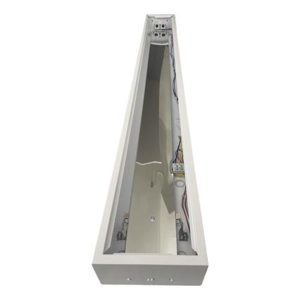 Fluorescentna svetiljka T8 2xG13/18W/230V 120 cm bela