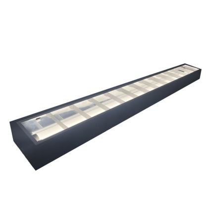 Fluorescentna svetiljka T8 2xG13/18W/230V 120 cm crna