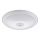 Fulgur 24120 - LED plafonsko svetlo sa senzorom DARINA LED/12W/230V