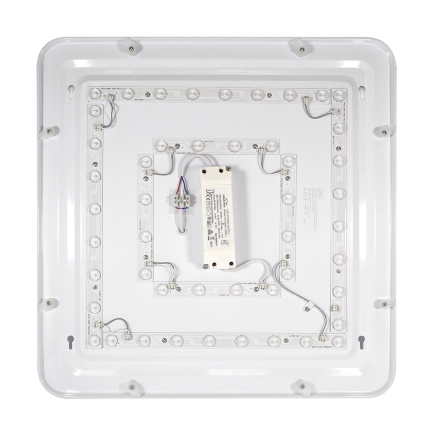 Fulgur 24312 - LED plafonsko svetlo PAVLA STARS LED/48W/230V 2700K