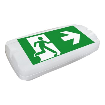 Fulgur 26201 - LED sigurnosno svetlo SAFEBOY LED/6W/230V IP65 6500K