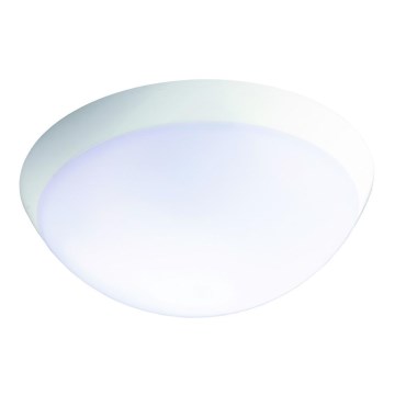Fulgur 26233 - LED industrijska svetiljka za nuždu sa senzorom ROMANA LED/20W/230V 2200 mAh IP64