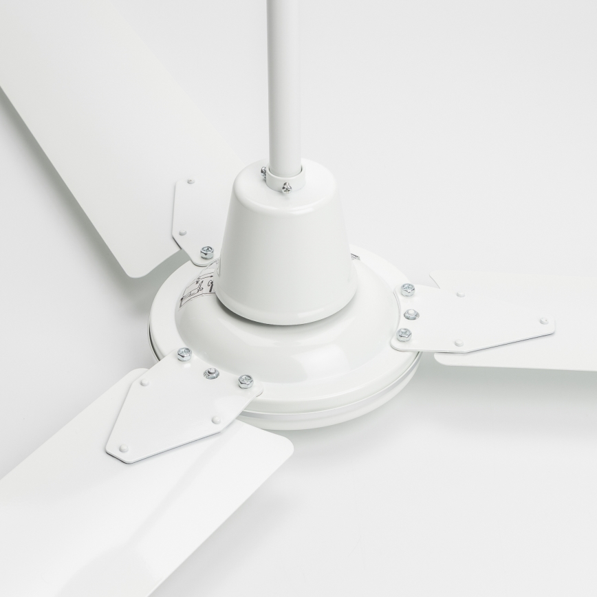 Globo - Plafonski ventilator