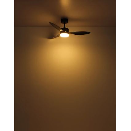 Globo - LED prigušiva plafonski ventilator LED/20W/230V 2700-6500K + daljinski upravljač