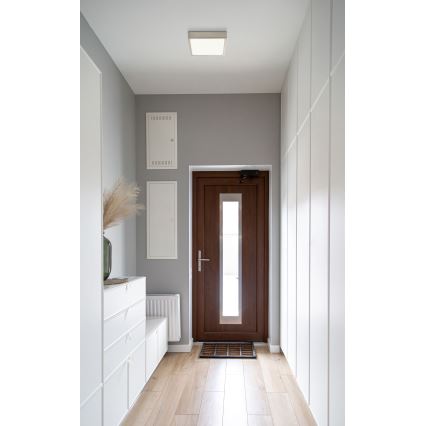 Globo - LED stropna svetiljka LED/15W/230V