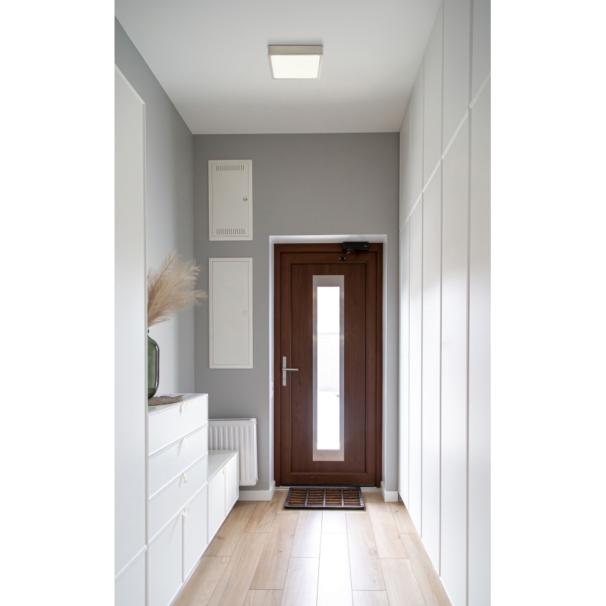 Globo - LED stropna svetiljka LED/15W/230V