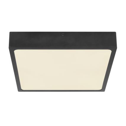 Globo - LED stropno svetlo LED/22W/230V