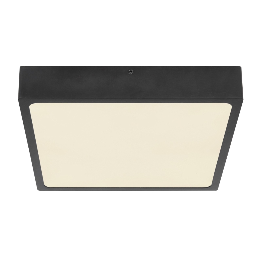 Globo - LED stropno svetlo LED/22W/230V