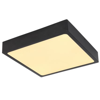 Globo - LED stropno svetlo LED/22W/230V