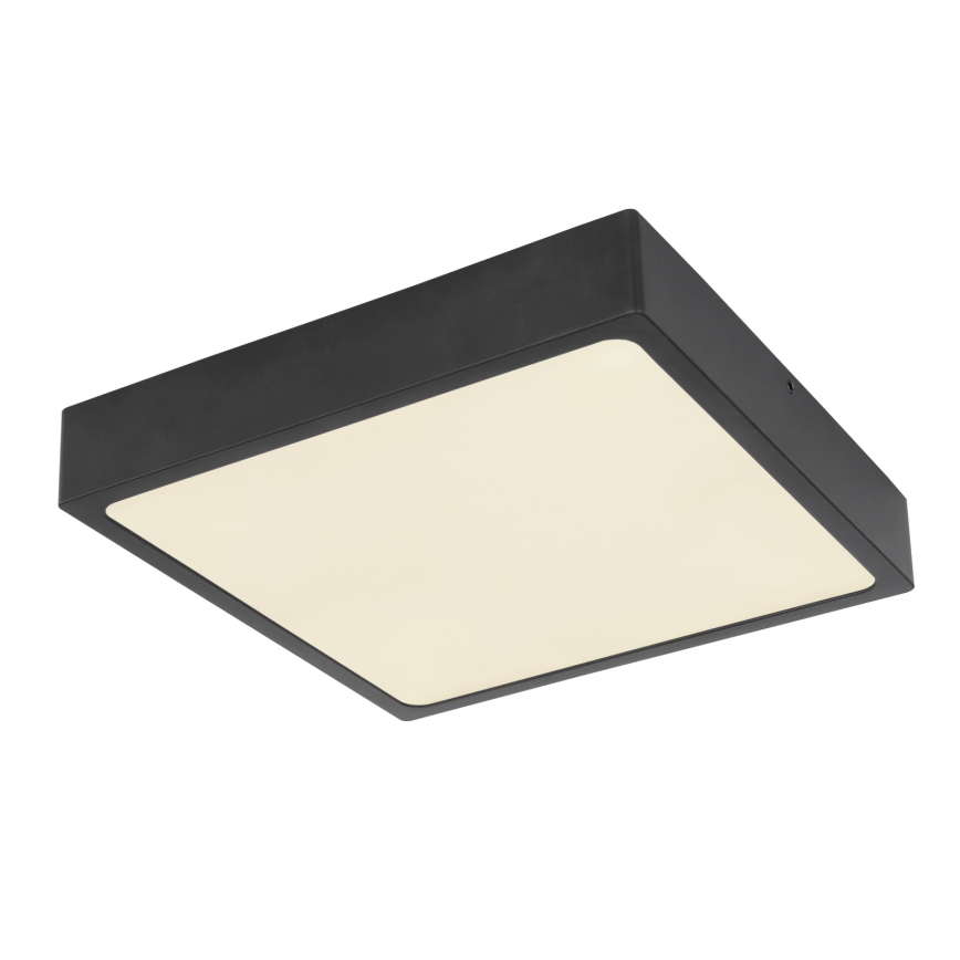Globo - LED stropno svetlo LED/22W/230V