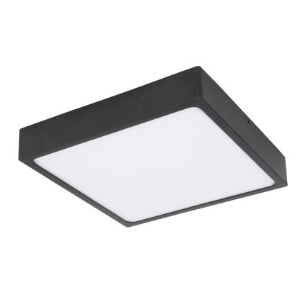 Globo - LED stropno svetlo LED/22W/230V