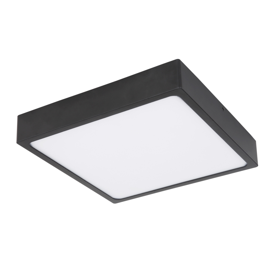 Globo - LED stropno svetlo LED/22W/230V