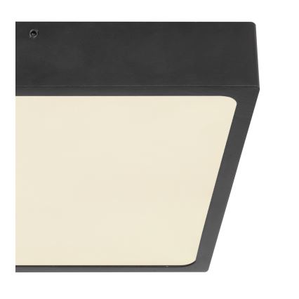 Globo - LED stropno svetlo LED/22W/230V