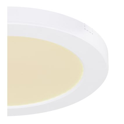 Globo - LED plafonsko svetlo LED/18W/230V 3000/4000/6500K belo