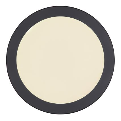 Globo - LED plafonsko svetlo LED/24W/230V 3000/4000/6500K crno