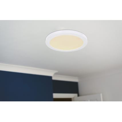 Globo - LED plafonsko svetlo LED/24W/230V 3000/4000/6500K belo