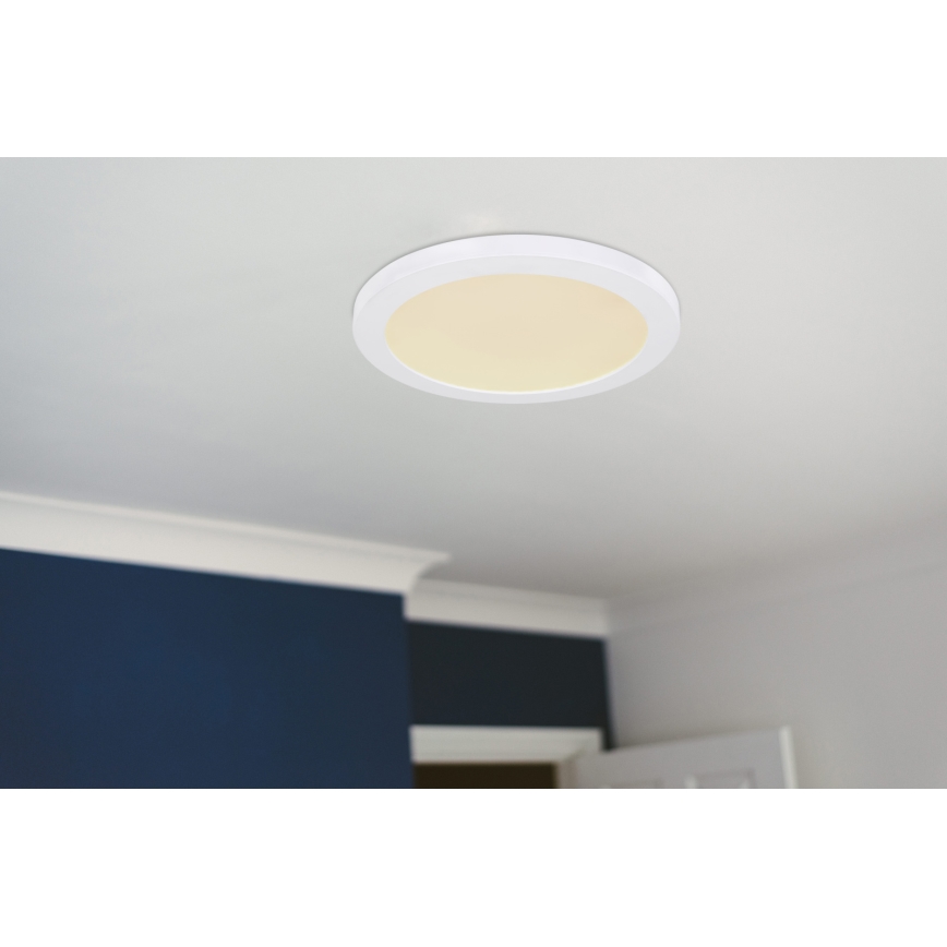 Globo - LED plafonsko svetlo LED/24W/230V 3000/4000/6500K belo