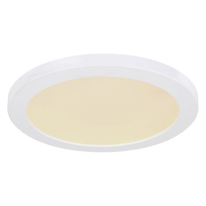 Globo - LED plafonsko svetlo LED/24W/230V 3000/4000/6500K belo