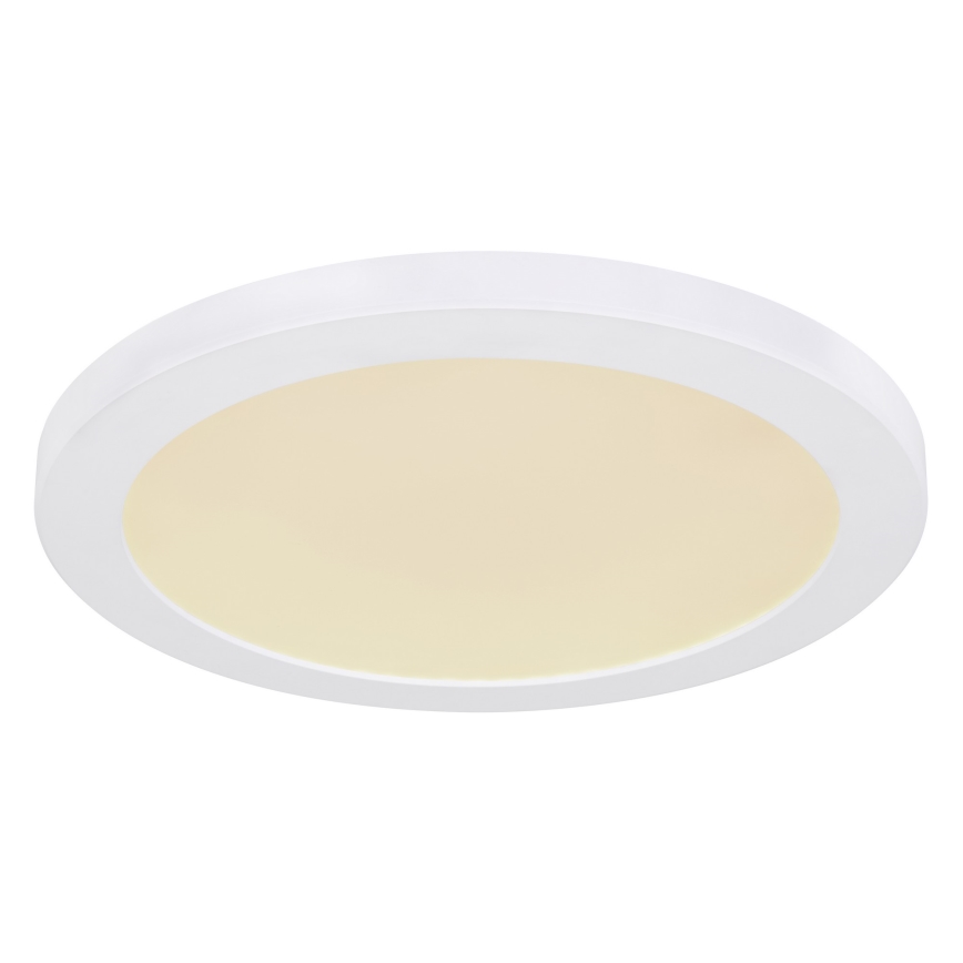 Globo - LED plafonsko svetlo LED/24W/230V 3000/4000/6500K belo