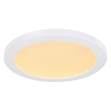 Globo - LED plafonsko svetlo LED/24W/230V 3000/4000/6500K belo