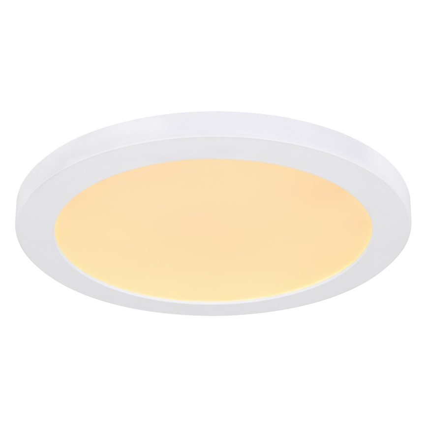 Globo - LED plafonsko svetlo LED/24W/230V 3000/4000/6500K belo