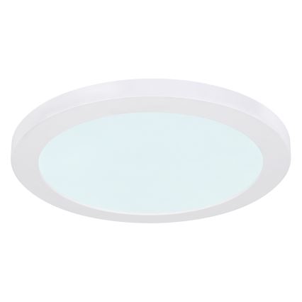 Globo - LED plafonsko svetlo LED/24W/230V 3000/4000/6500K belo