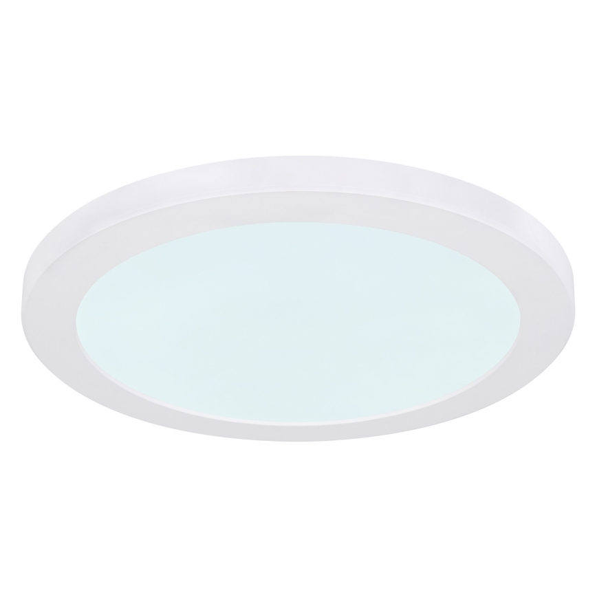 Globo - LED plafonsko svetlo LED/24W/230V 3000/4000/6500K belo