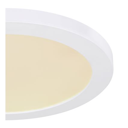 Globo - LED plafonsko svetlo LED/24W/230V 3000/4000/6500K belo