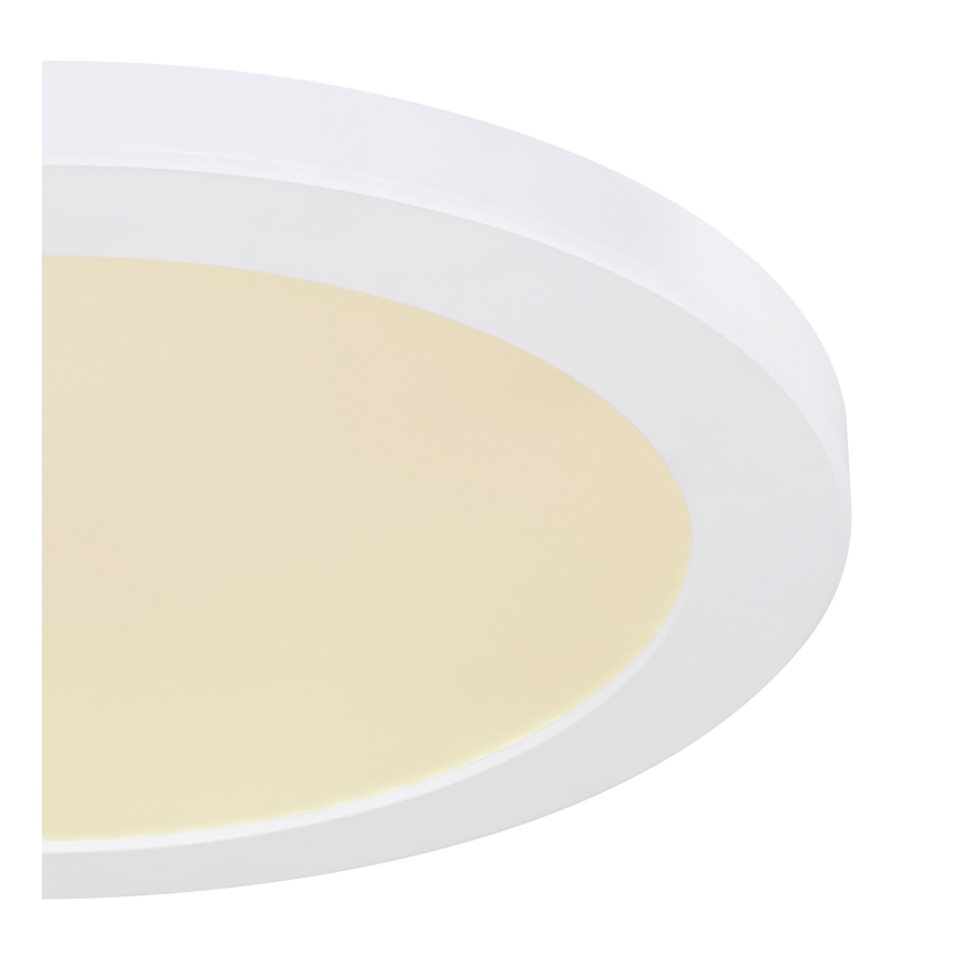 Globo - LED plafonsko svetlo LED/24W/230V 3000/4000/6500K belo