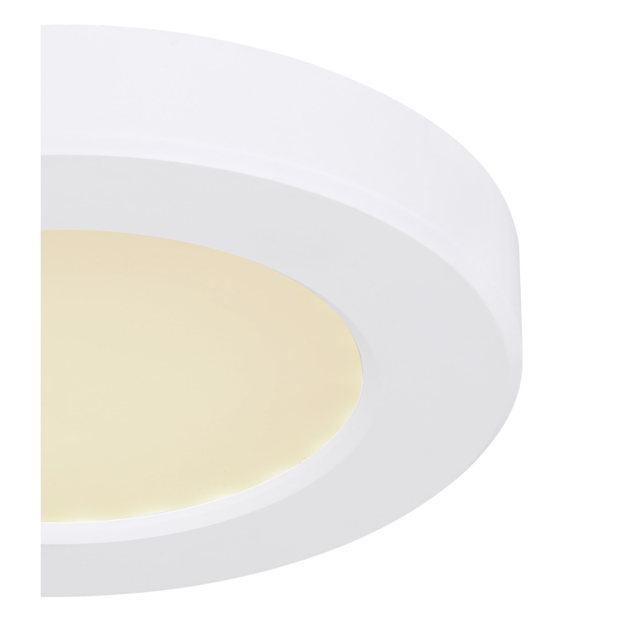 Globo - LED plafonsko svetlo LED/6W/230V 3000/4000/6500K belo