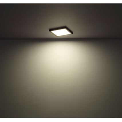 Globo - LED plafonsko svetlo LED/12W/230V 3000/4000/6500K crna