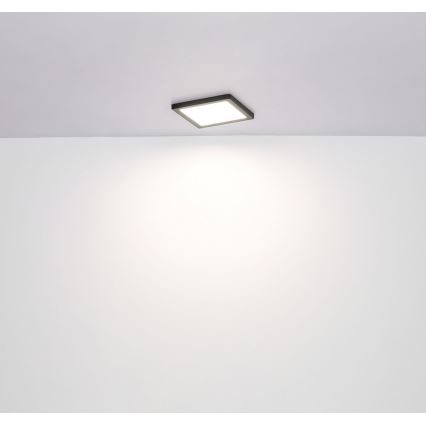 Globo - LED plafonsko svetlo LED/12W/230V 3000/4000/6500K crna