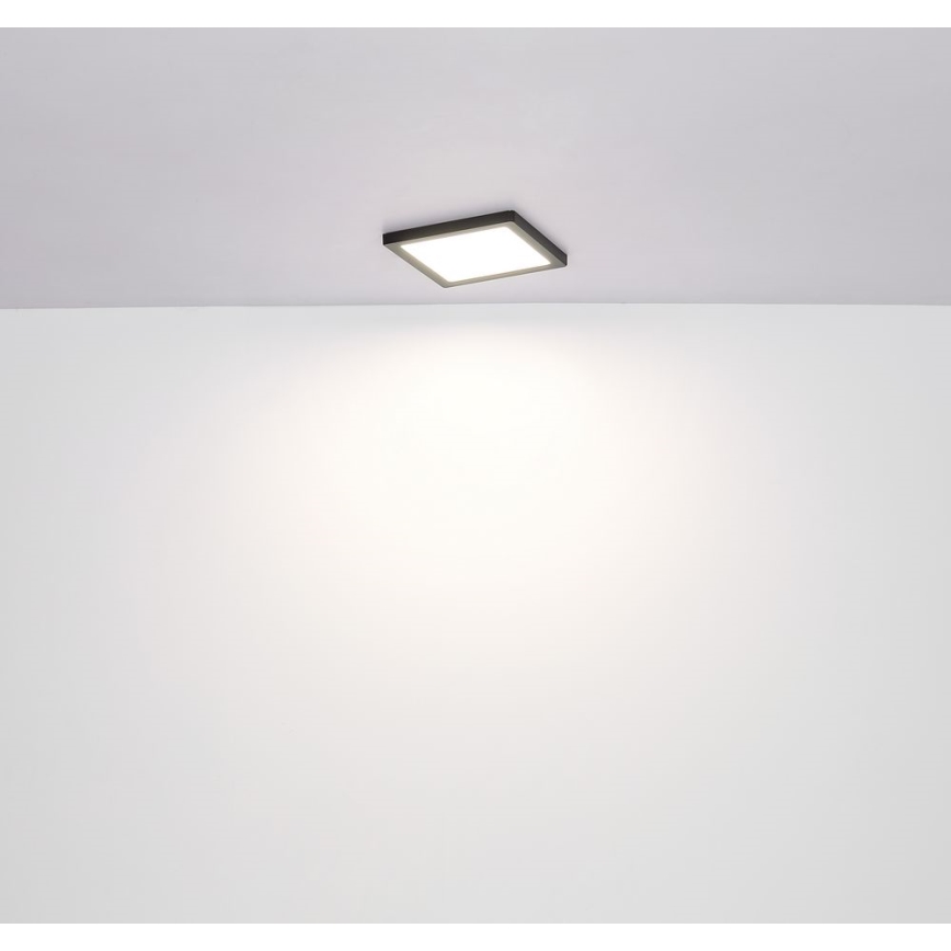 Globo - LED plafonsko svetlo LED/12W/230V 3000/4000/6500K crna