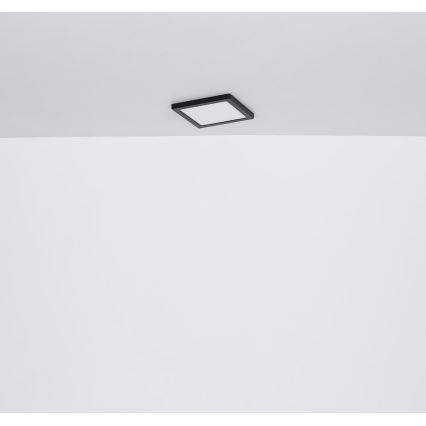 Globo - LED plafonsko svetlo LED/12W/230V 3000/4000/6500K crna