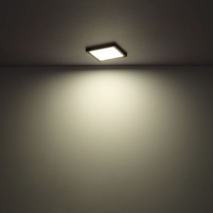 Globo - LED stropna plafonjera LED/24W/230V 3000/4000/6500K bela