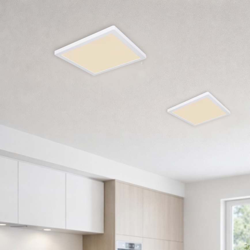 Globo - LED stropna plafonjera LED/24W/230V 3000/4000/6500K bela