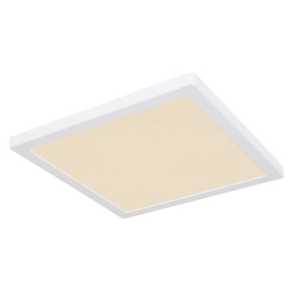 Globo - LED stropna plafonjera LED/24W/230V 3000/4000/6500K bela