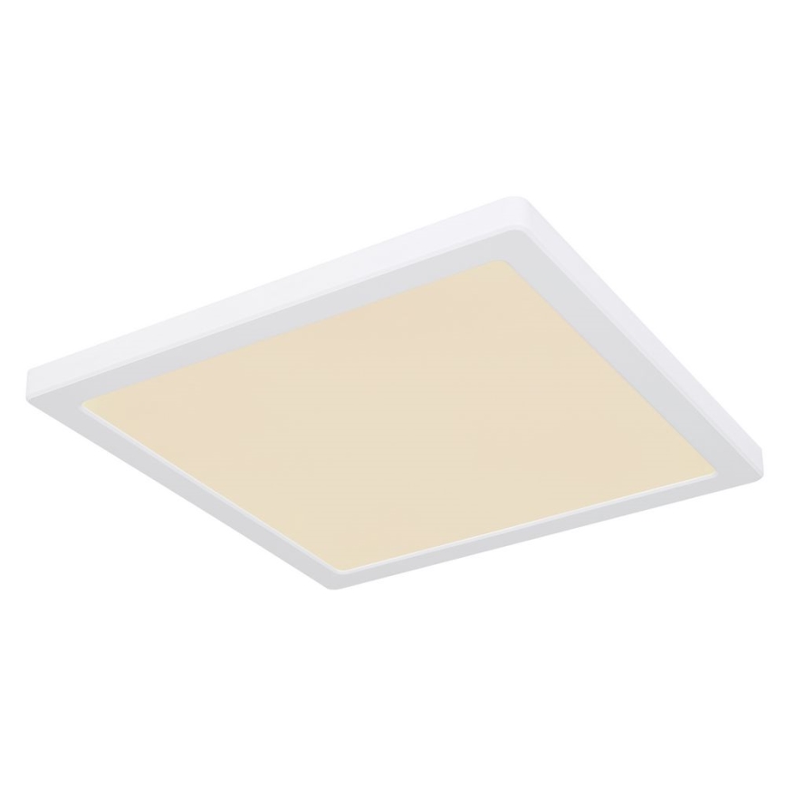 Globo - LED stropna plafonjera LED/24W/230V 3000/4000/6500K bela