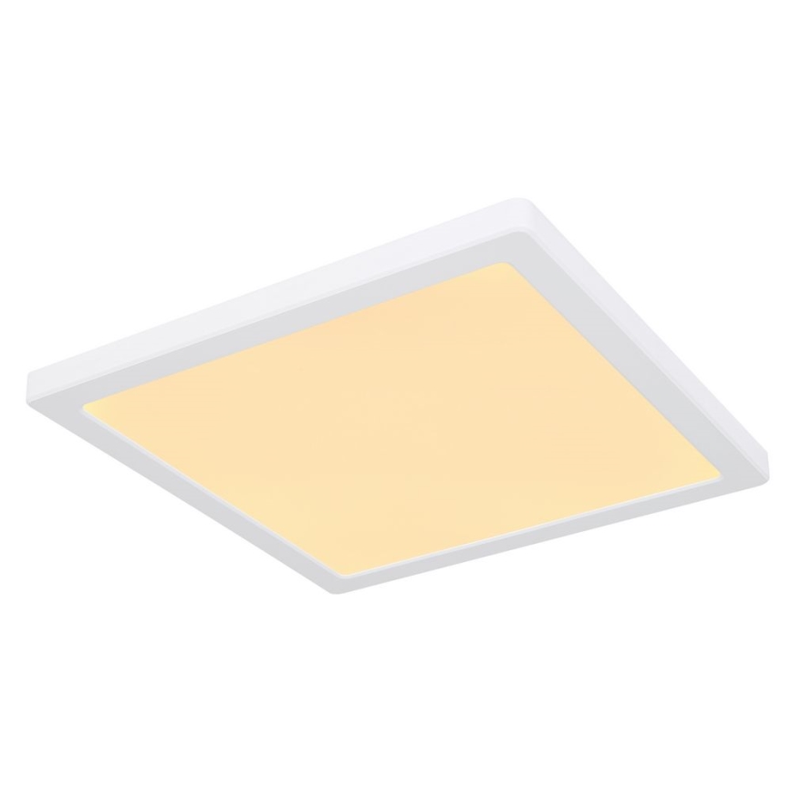 Globo - LED stropna plafonjera LED/24W/230V 3000/4000/6500K bela
